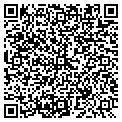 QR code with Dual Image LLC contacts