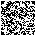 QR code with Bsv contacts