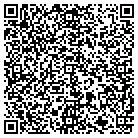 QR code with Pulaski County 911 Center contacts