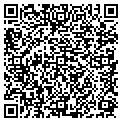 QR code with Basetek contacts