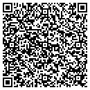 QR code with Cruise Travel For You contacts