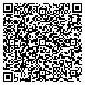 QR code with Afscme contacts