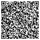 QR code with Pp & L Appliance Care contacts