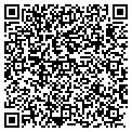 QR code with M Global contacts