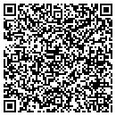 QR code with Cryptic Images contacts