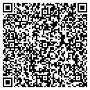 QR code with PyraMax Bank contacts