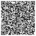 QR code with Afscme contacts