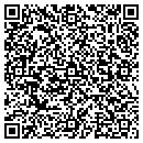 QR code with Precision Image Inc contacts