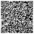 QR code with Premier Laser Image contacts