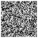 QR code with Producing Image contacts
