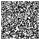 QR code with Proimage Inc contacts