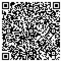 QR code with David S Green Md contacts