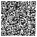 QR code with D-Leash contacts