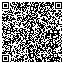QR code with Progress Manufacturing contacts