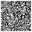 QR code with County Bancorp Inc contacts
