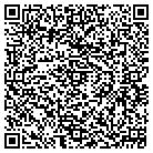 QR code with Bricam Industries Inc contacts