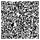 QR code with Practice Made Perfect contacts