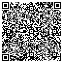 QR code with Practice Made Perfect contacts