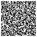 QR code with Cfye Productions LLC contacts