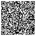 QR code with Ibew contacts