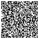 QR code with Blue Ridge Optometry contacts