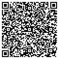 QR code with Pineco contacts