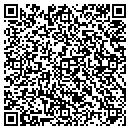 QR code with Production Avenue Inc contacts