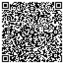 QR code with Pulse1 Media LLC contacts