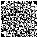 QR code with Cyber Systems Inc contacts