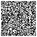 QR code with Chestnut Holdings LLC contacts