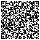 QR code with Pyramid Holdings contacts