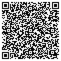 QR code with Codllc contacts