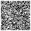 QR code with Premier Vision contacts