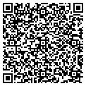 QR code with Local contacts