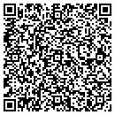 QR code with Carteng Holdings LLC contacts