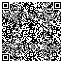 QR code with Punch's Production contacts