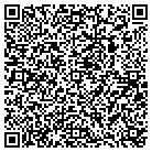 QR code with Puls Video Productions contacts