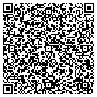QR code with Whippet Window Cleaning contacts