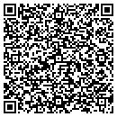 QR code with Productions Tivid contacts