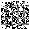 QR code with Cinublue Productions contacts