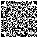 QR code with Pulse Distributors Inc contacts