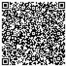 QR code with Blue Dot Productions LLC contacts