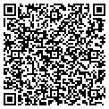 QR code with Buckle contacts