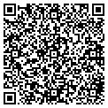QR code with Ibew contacts