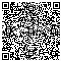 QR code with Local contacts
