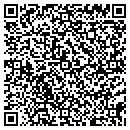QR code with Cibula Charles D DPM contacts