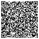 QR code with Production Assistance contacts
