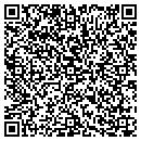 QR code with Ptp Holdings contacts