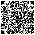 QR code with Ibew contacts