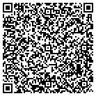 QR code with Block Michael K DPM contacts